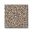 Battery Park Khaki Texture Carpet with Pet swatch